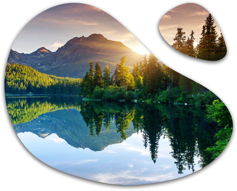 Surdurulebilirlik_Dag https://www.naturelholding.com.tr/wp-content/uploads/2026/08/Surdurulebilirlik_Dag.png